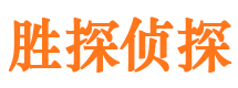 渑池侦探公司